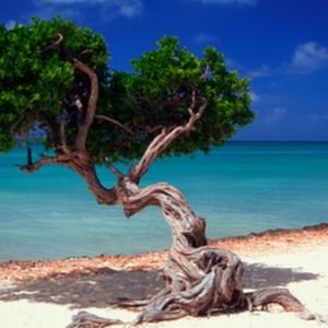 Meet your Posher, Fable